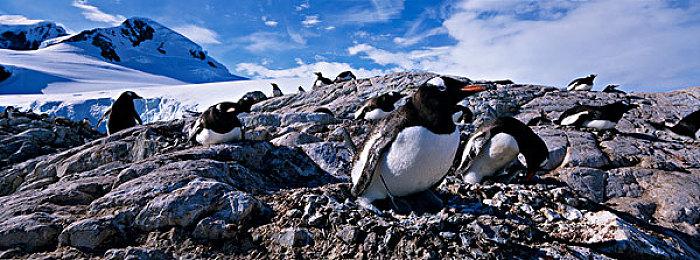 《生化危机9》战斗将借鉴《最后的生还者2》将有载具